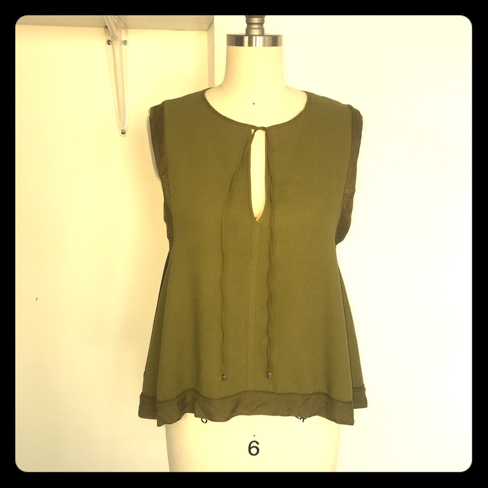 Zara Flare top